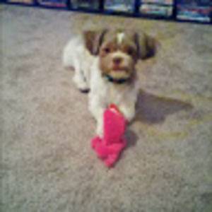 Meet your Posher, Nichole